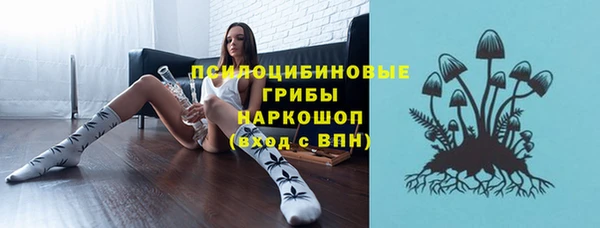 спайс Богданович