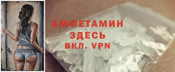 спайс Богданович