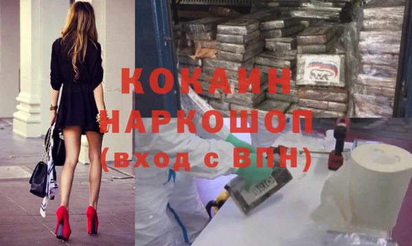 спайс Богданович