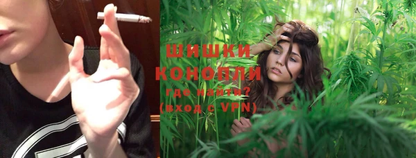 спайс Богданович