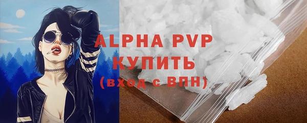 спайс Богданович