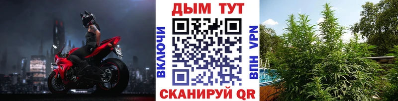 МАРИХУАНА план  где продают наркотики  Очёр 